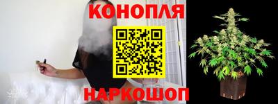 дмт Новокубанск