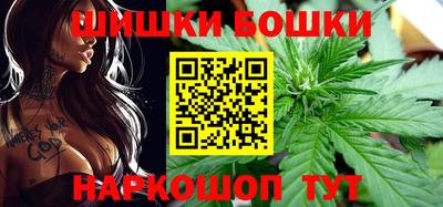 дмт Новокубанск