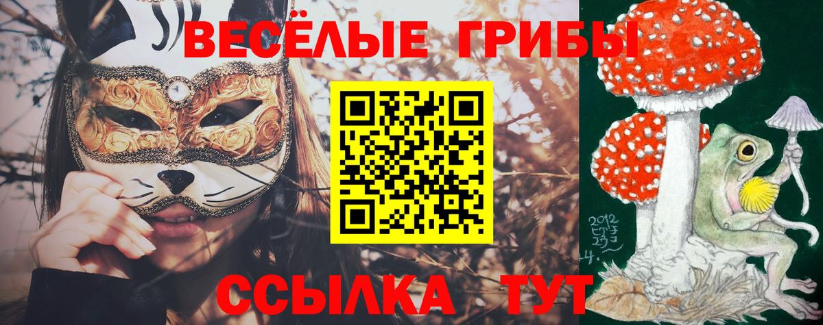Галлюциногенные грибы Cubensis Сорочинск