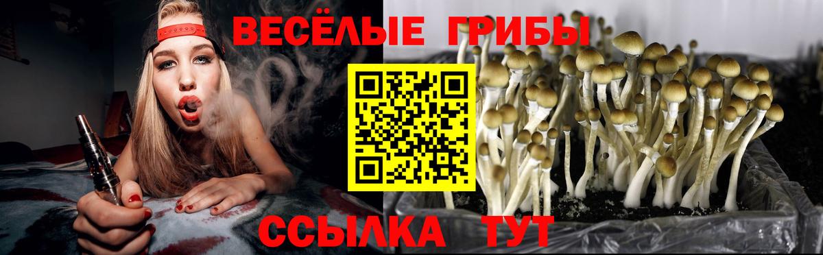 Сорочинск  где купить наркотик  Вход с VPN  Галлюциногенные грибы Cubensis  Галлюциногенные грибы мицелий 